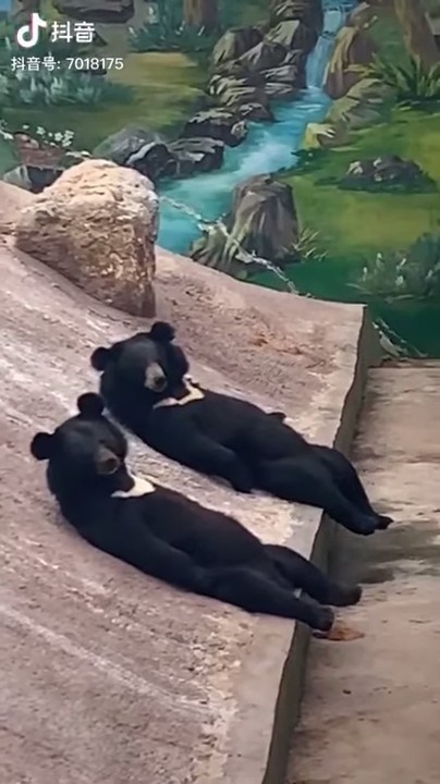 ScreenShot-VideoID-Vl52Y718Mms-TimeS-2