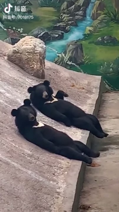 ScreenShot-VideoID-Vl52Y718Mms-TimeS-3