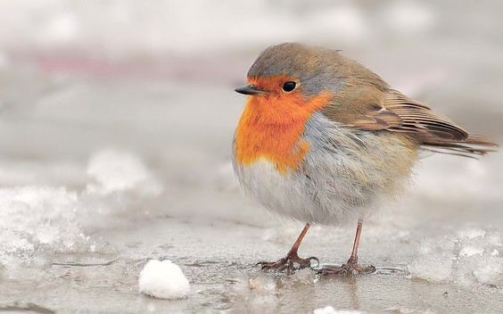 a30cb7109a6d7575376a3a596d268474