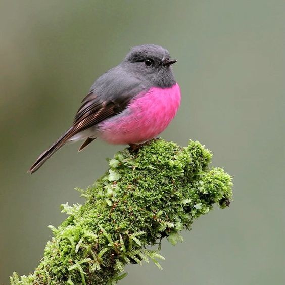 a9da667d84454092f34ca5852369cee8