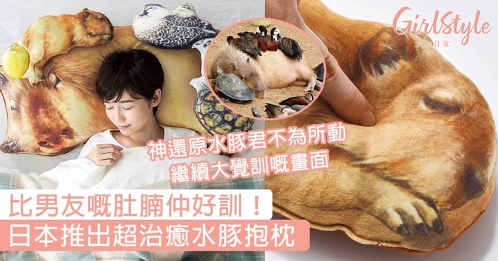 比男友嘅肚腩仲好訓！日本推出超治癒水豚抱枕，絨面質地柔軟又舒服～