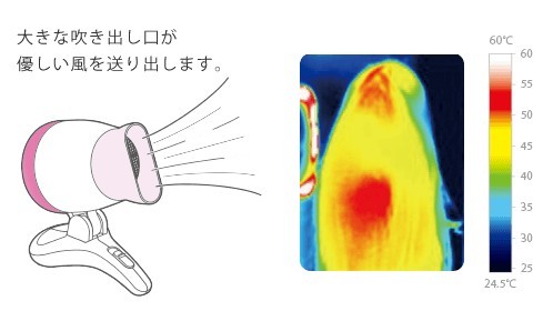 content02-02
