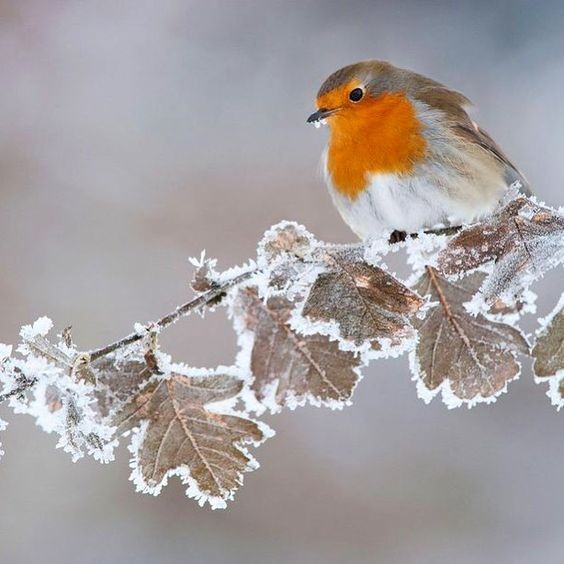 dec323a3f7aaf1c613d2ce40fa279e27