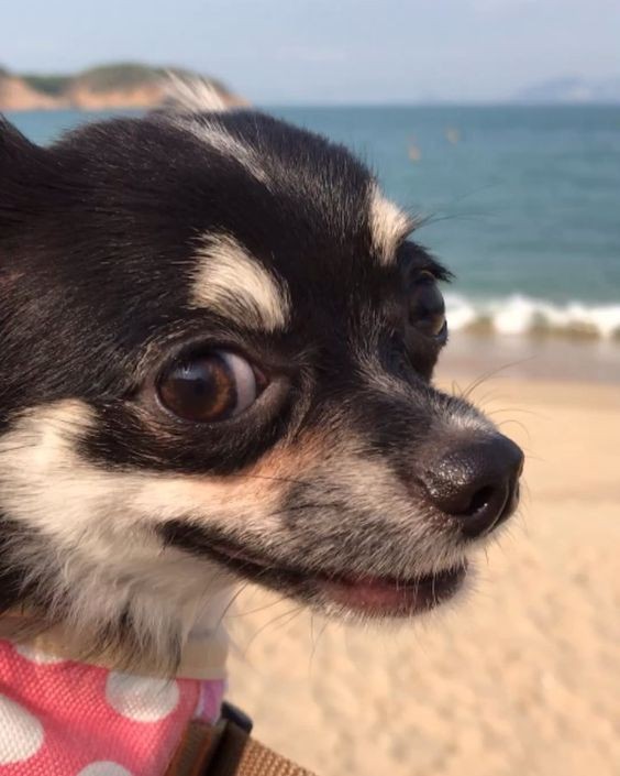 efb856b55d88b73f841ddf217fe9cd05