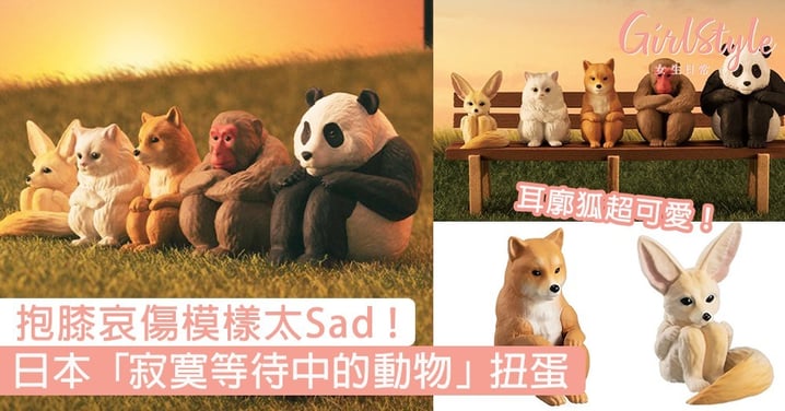 耳廓狐超可愛！日本最新「寂寞等待中的動物」扭蛋，抱膝哀傷模樣讓人想摸頭安慰！