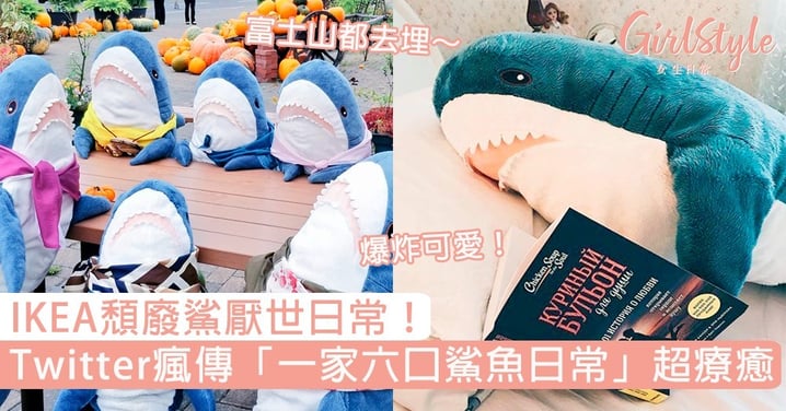 頹廢鯊厭世日常！日本Twitter瘋傳「一家六口IKEA鯊魚」超療癒，登富士山、逛市場爆炸可愛！