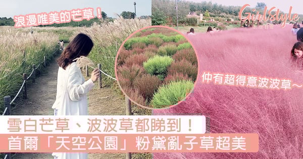 雪白芒草、波波草都睇到！首爾「天空公園」粉黛亂子草，浪漫唯美的芒草令女生少女心爆發！