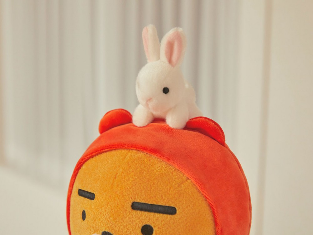 小紅帽Ryan兔子