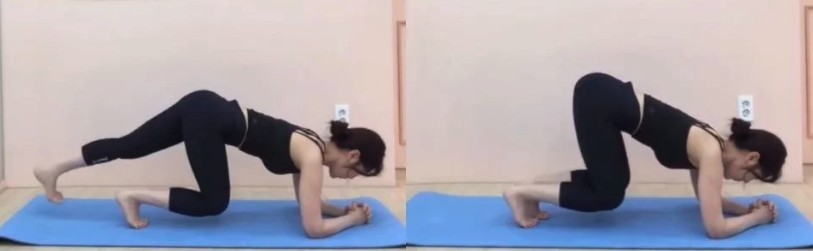 新款棒式 1：屈膝棒式