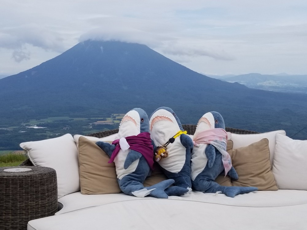 它們居然還能夠踏足富士山?還給我坐得那麼神氣!