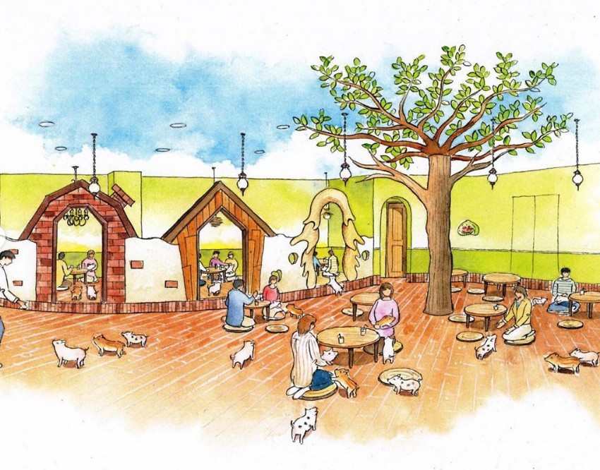 「Mipig Cafe」原宿分店