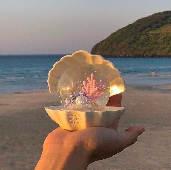 把濟州海洋捧在手心上