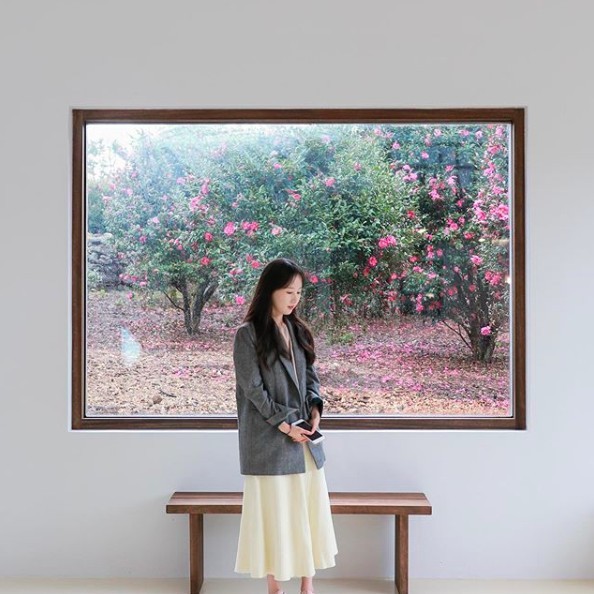 文青山茶花打卡