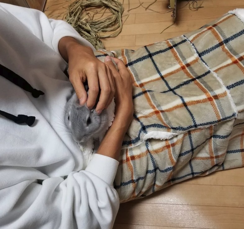 因為在毛毯的中間有一個可以把家中可愛的小動物們放進的小口袋。