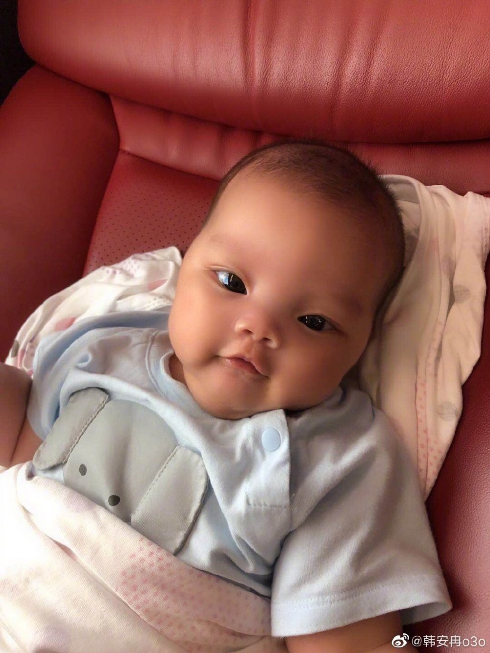 大陸網紅韓安冉女兒