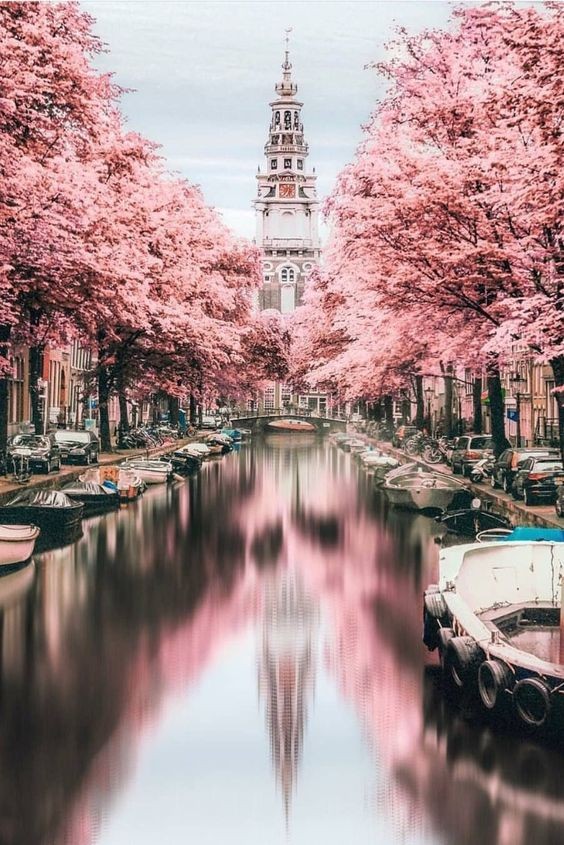 29e71c4438c2caf5fb7ccb25cf11c93b