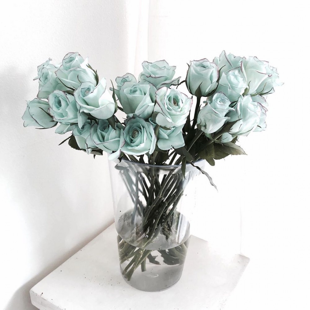 放在家中超高級