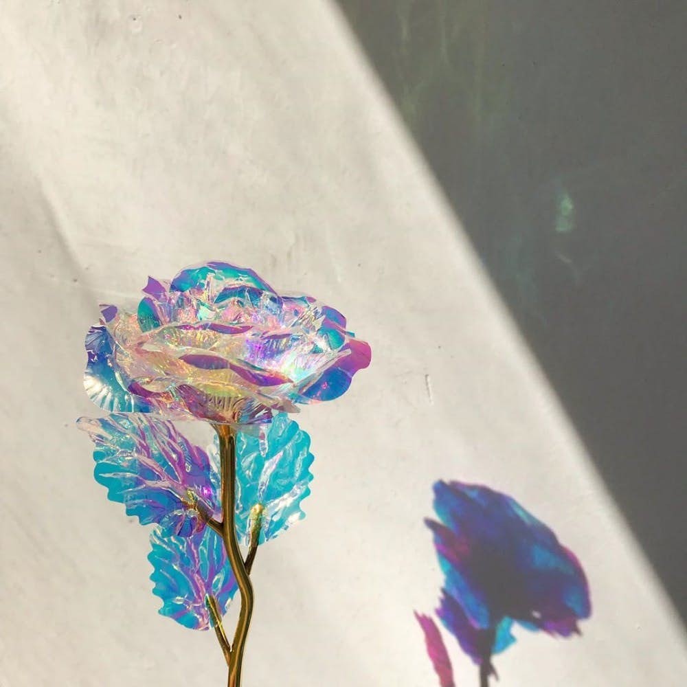 64251347_179873709678164_4660328284357020806_n