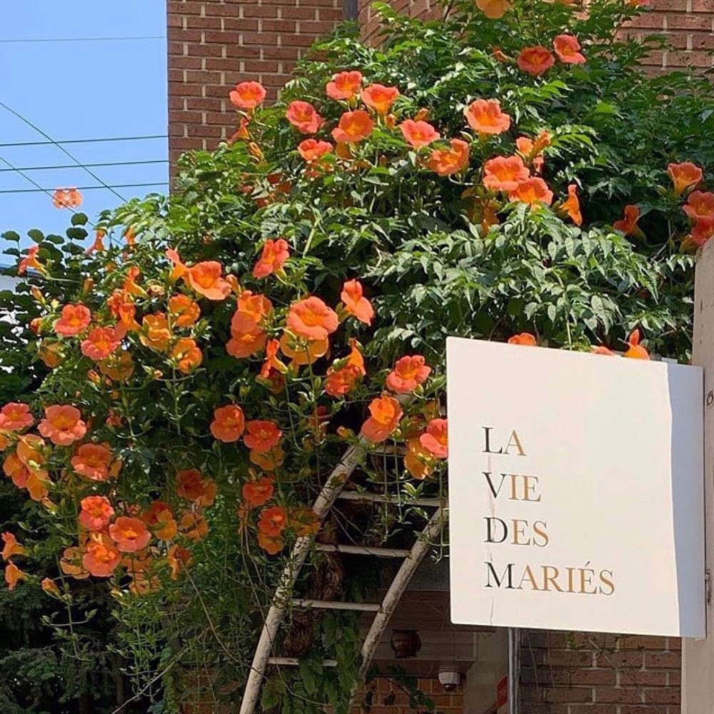 韓國人氣Cafe「LA VIE DES MARIÉS」