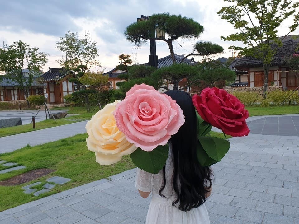 69033191_1642669432532919_6173947551960920669_n