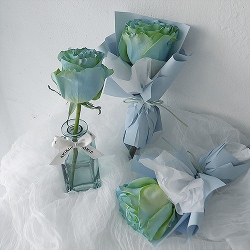 清新簡約感mintrose