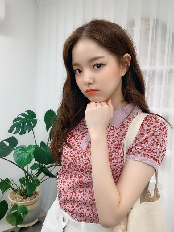 子宮肌瘤,可概分成三大類