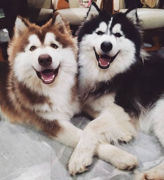 214a21d13867e73fa13b3e89dcd57ab0