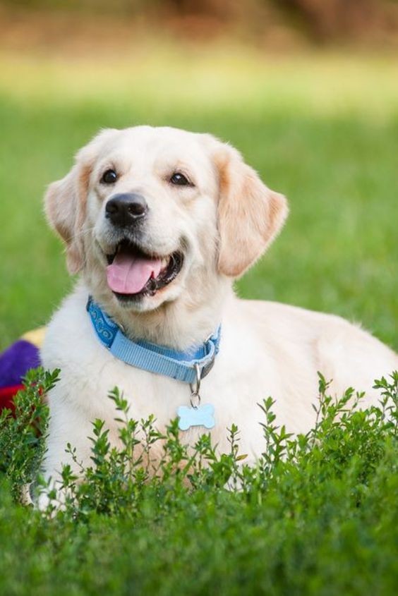 2572c392e5a26e6ee6d273da160e1c13