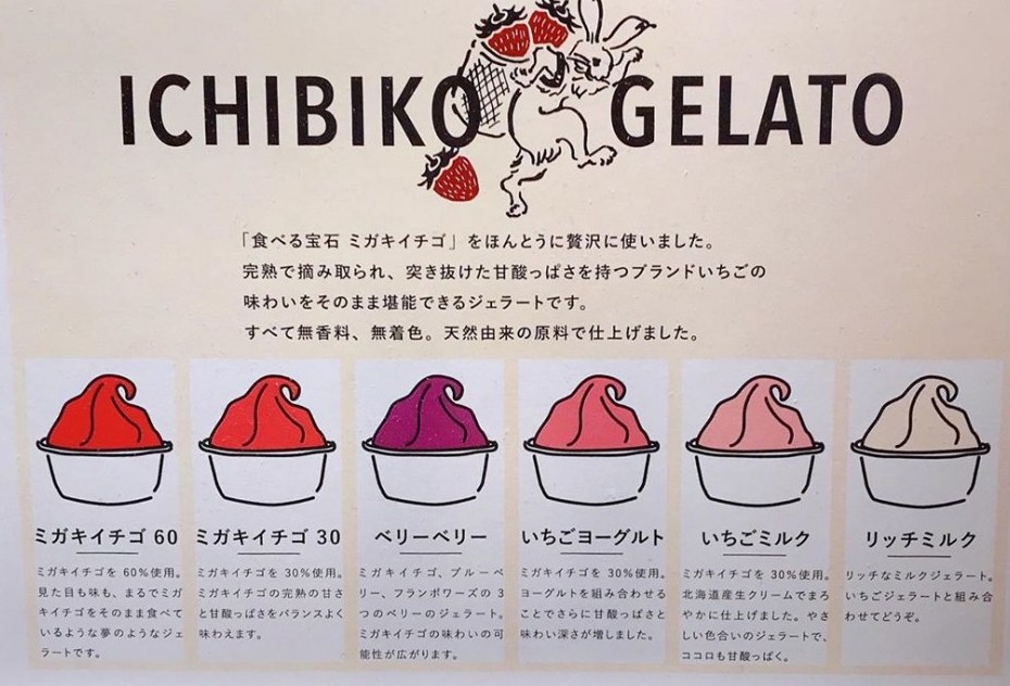 72066167_574055619996287_5879142811929530371_n (1)