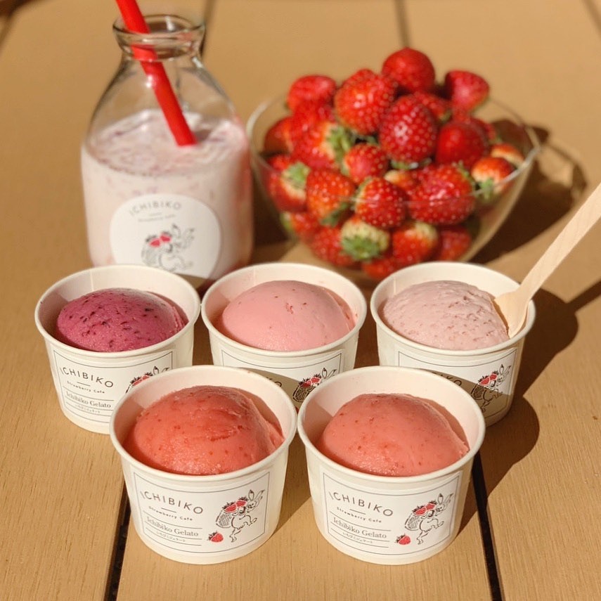 75333931_1008113762865678_1581170775717977058_n