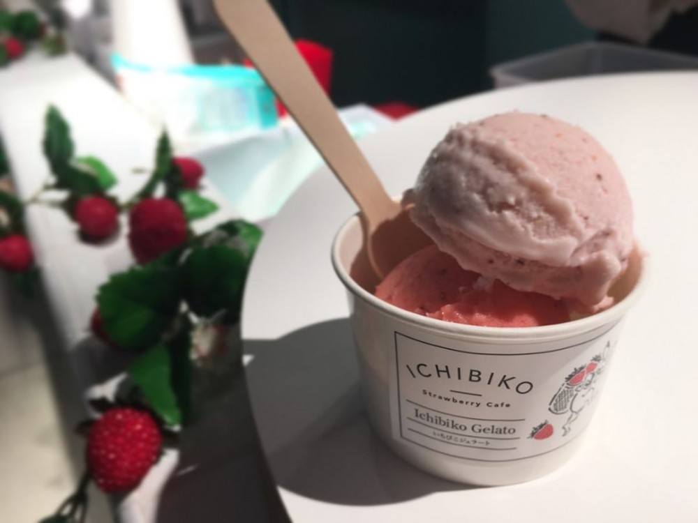 77222444_2525793567490421_7786862734730484197_n