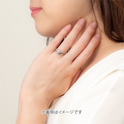 RSaTSS-100-PT-m-04-dl