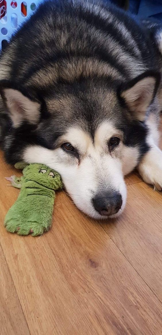 a7fc69d5bbfc306596f333cfc31cee19