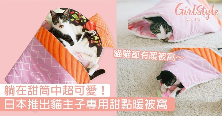 躺在甜筒中超可愛！日本推出貓主子專用甜點暖被窩，貓貓都有暖被窩～