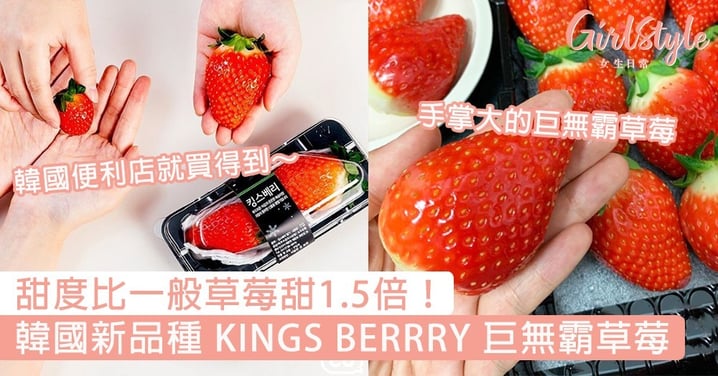 甜度比一般草莓甜1.5倍！韓國新品種「KINGS BERRRY」巨無霸草莓，手掌大的士多啤梨～