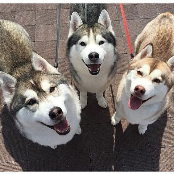 ab3a3cec1892beb816420ddcc6e63ce2