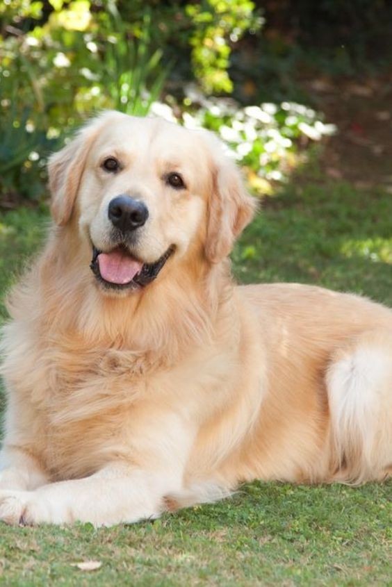 ab457fc676831425915ccb189ae809c9