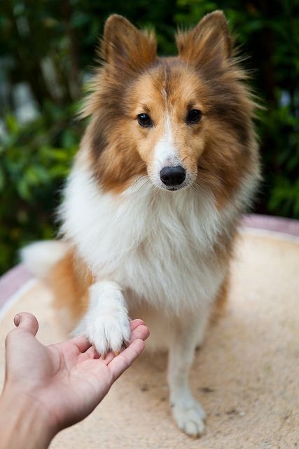 f2276f396c2f09a5e80179cd12a7d502