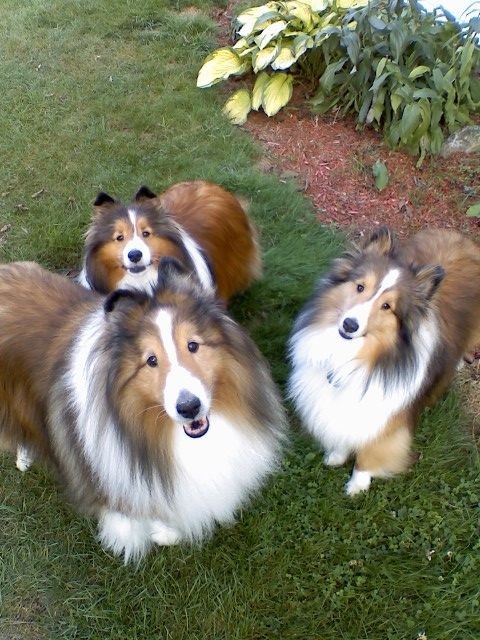 f6c2ea58daa9fa854a8a165aaca7f5fe