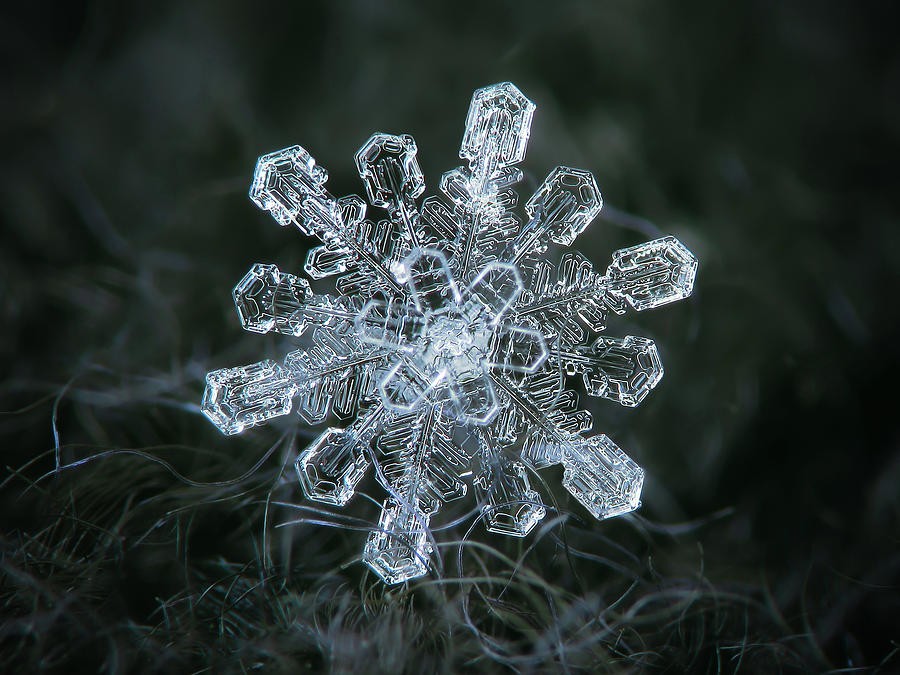 real-snowflake-04-feb-2018-1-alexey-kljatov