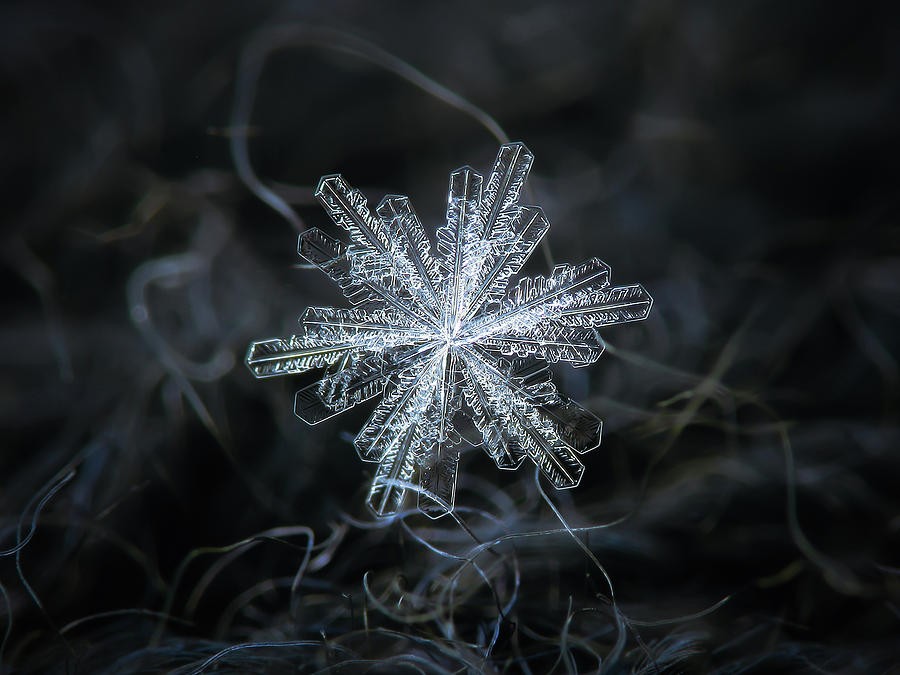 real-snowflake-18-dec-2018-3-alexey-kljatov