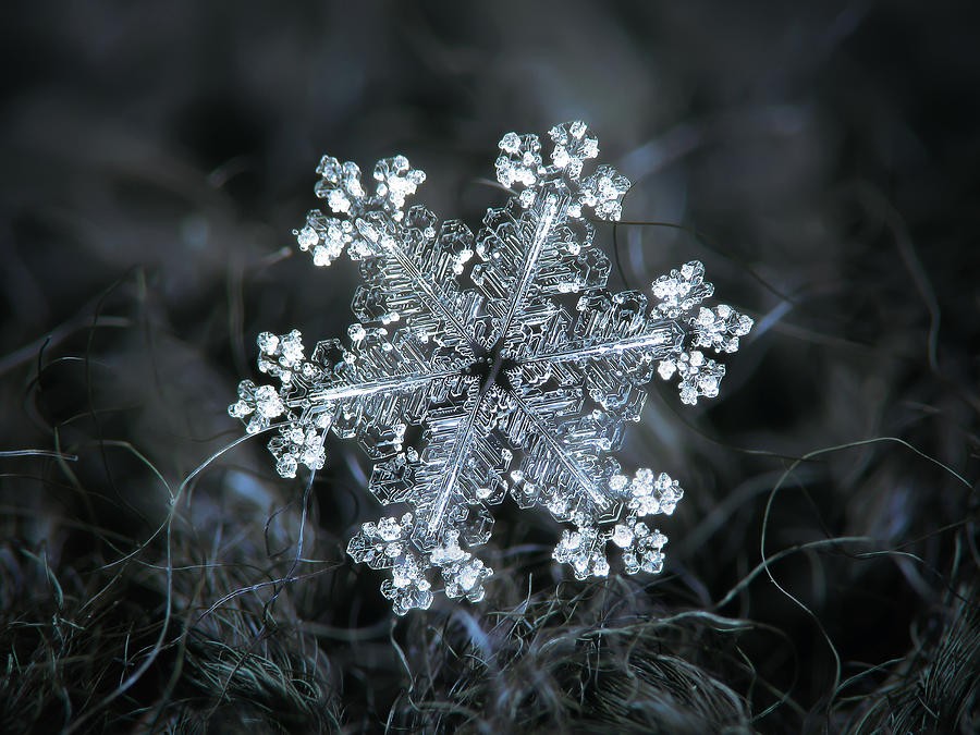 real-snowflake-26-dec-2018-1-alexey-kljatov