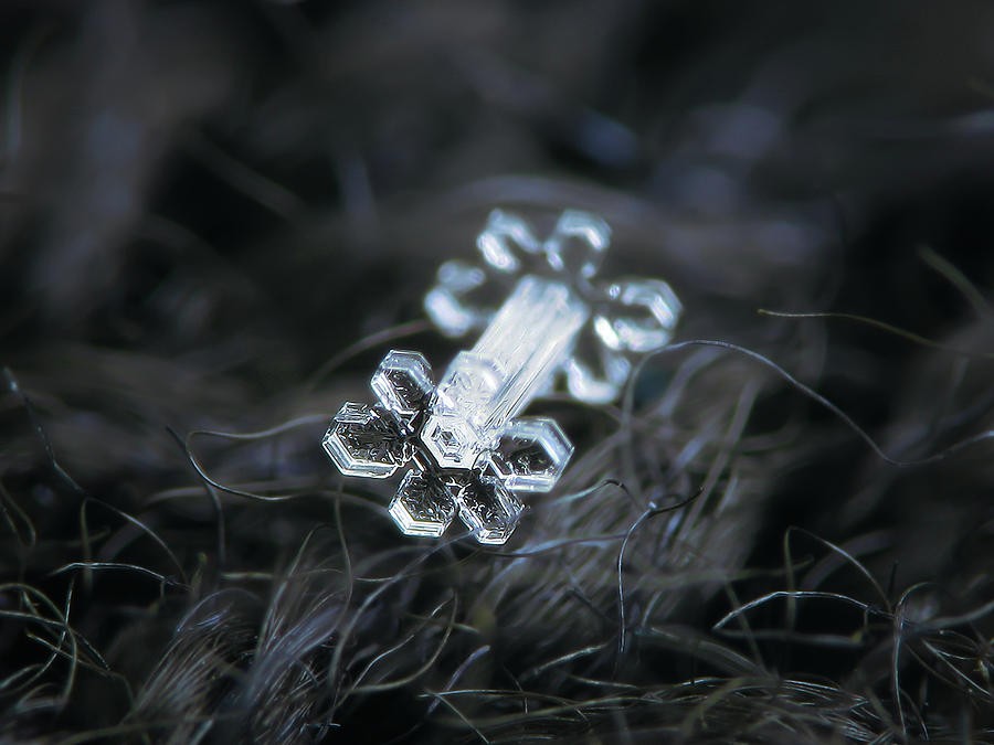 real-snowflake-27-jan-2019-1-alexey-kljatov