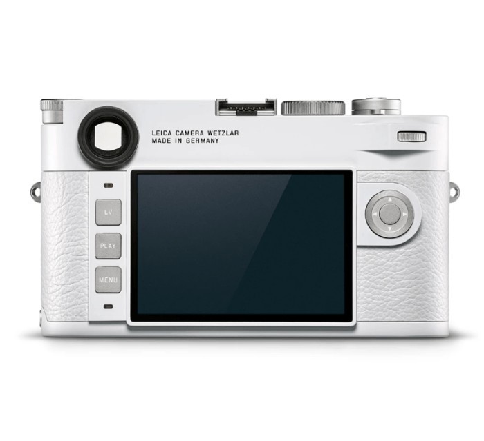 這部相機內置的一個「電子水平校正儀」或許就能解決此問題