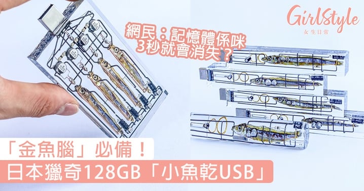 「金魚腦」必備？日本獵奇128GB「小魚乾USB」，網民：記憶體3秒就會消失？