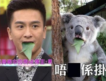 「唔X係啩」樹熊 馬國明