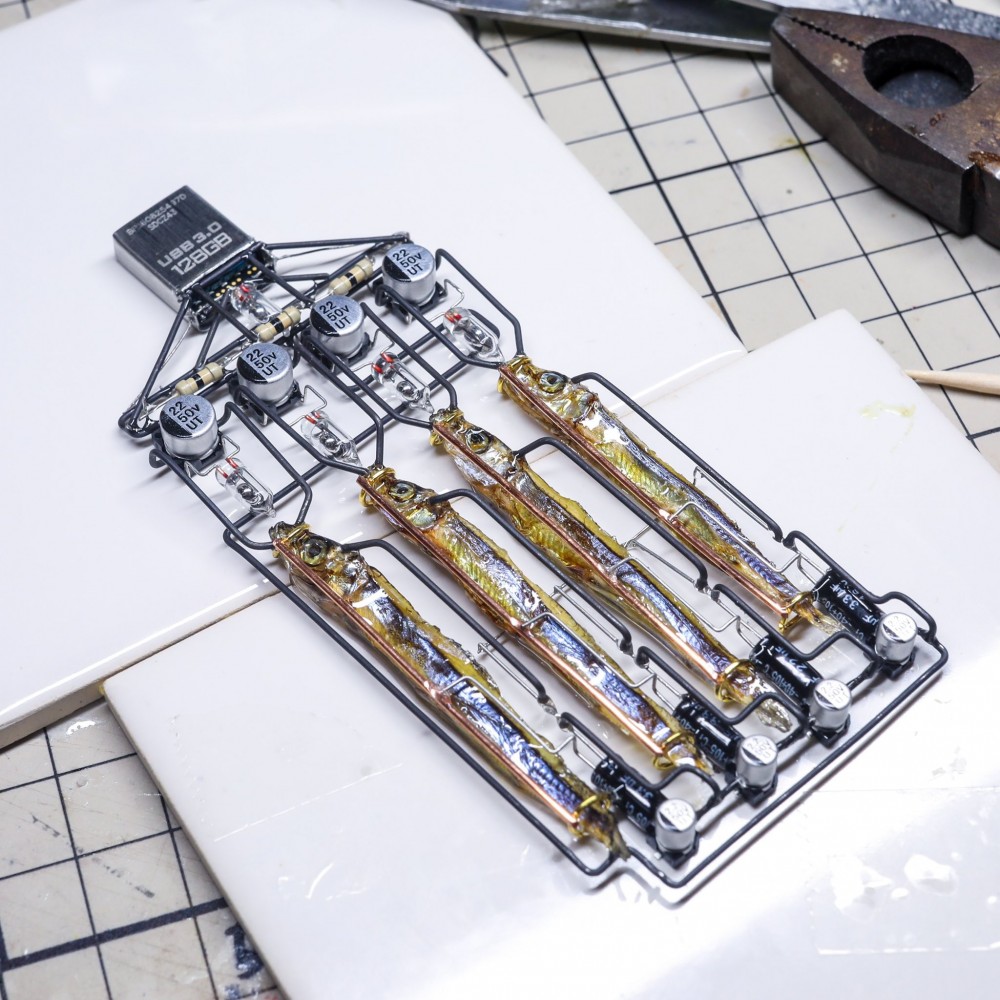 2hdy73LO2ZSvIpa1Jdh2InslcSr5kl1TZYEDtGWBA7Q