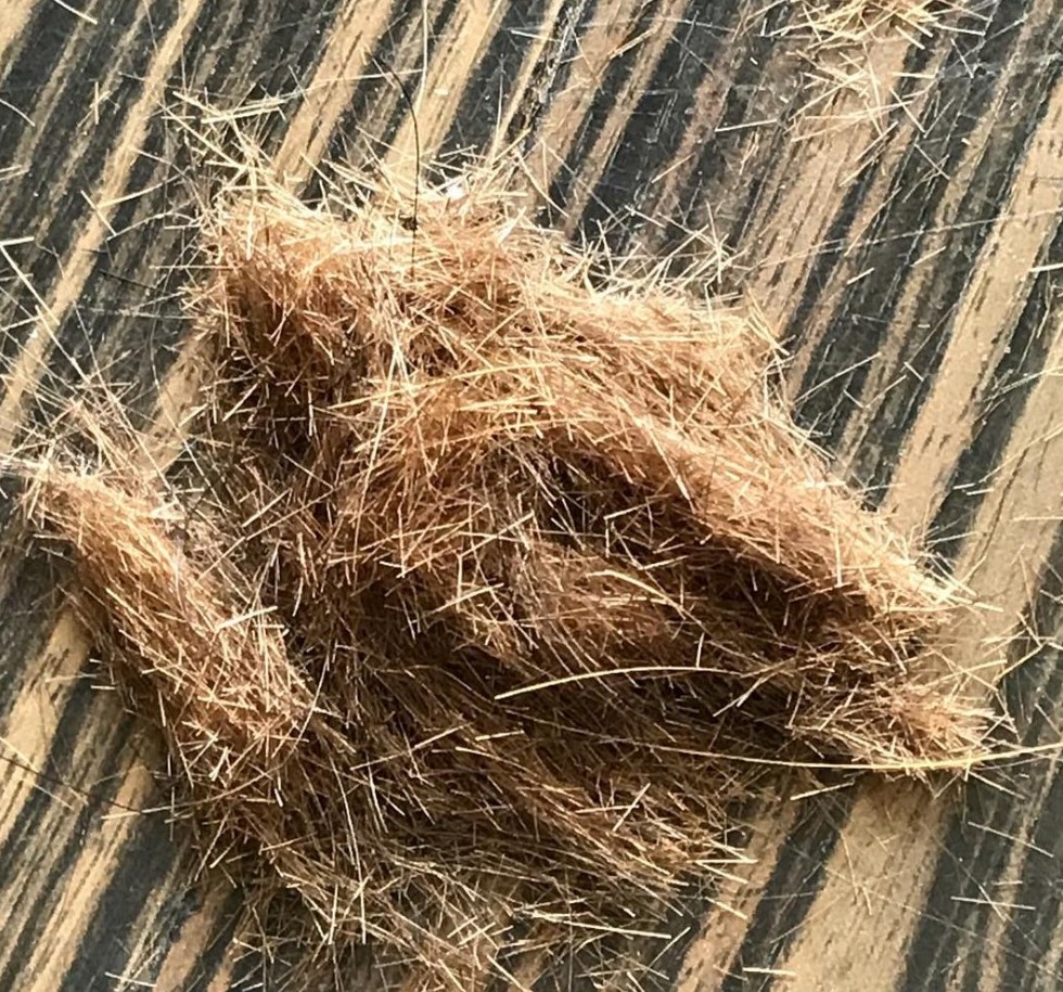 原理其實就有點像頭髮的吸塵機一樣,把髮絲上多餘的分岔通通剪掉