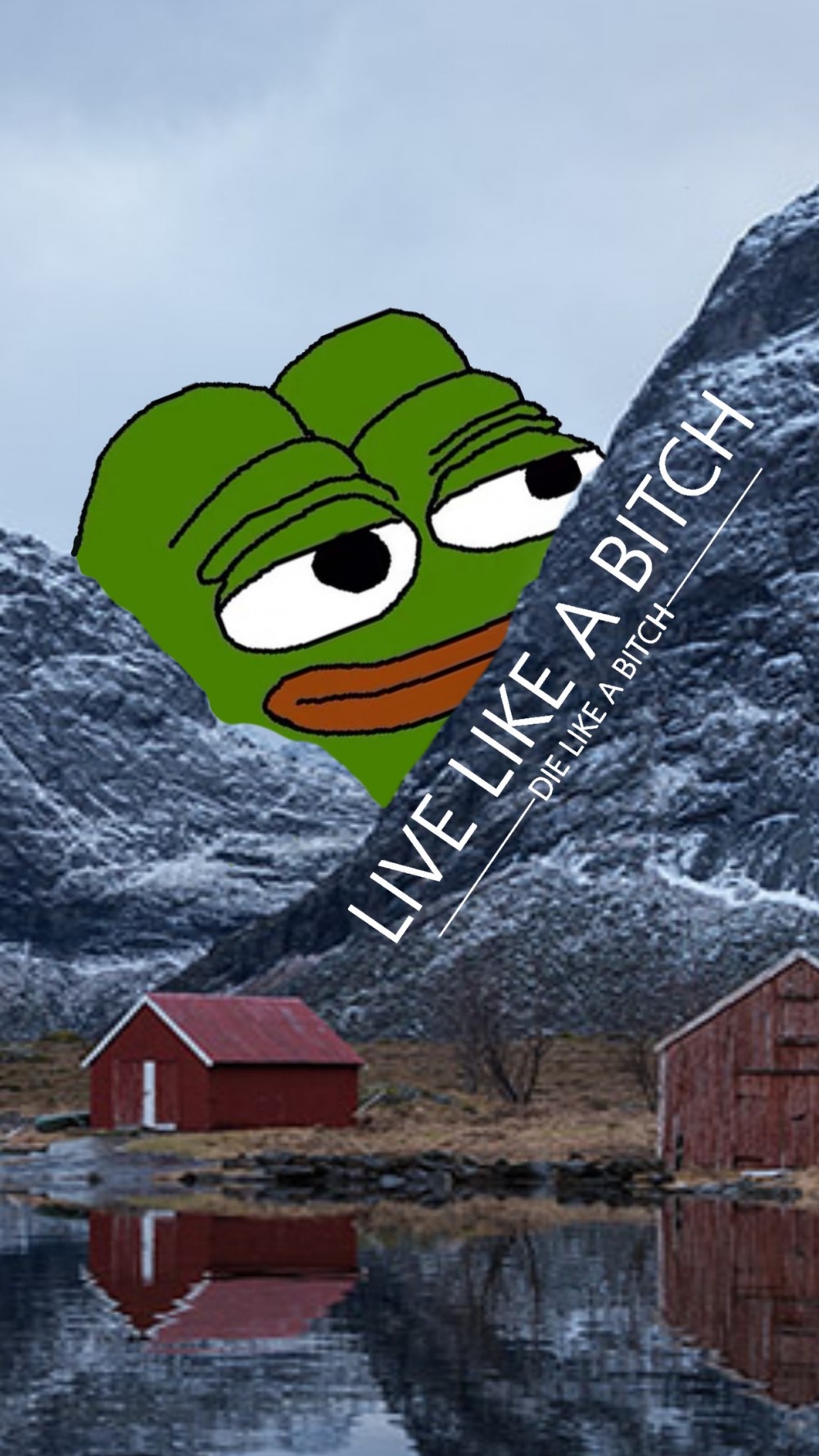 20款Pepe手機Wallpaper 搞怪醜萌Pepe陪你過每一日