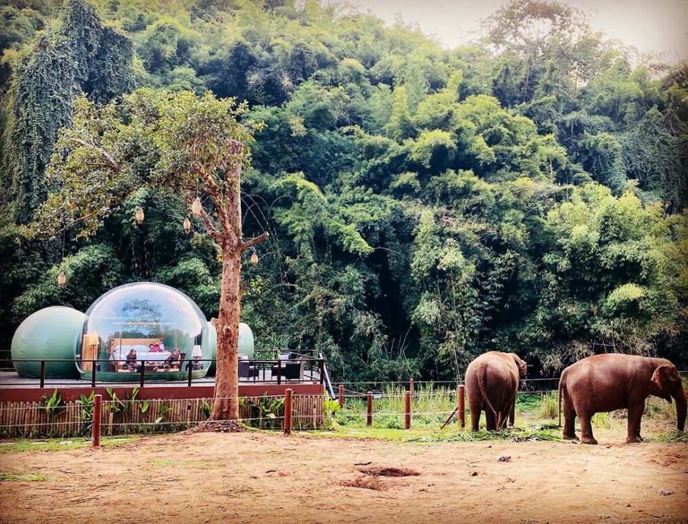 泰國「金三角象園安納塔拉度假酒店 Anantara Golden Triangle」位於北泰古老雨林山巔上